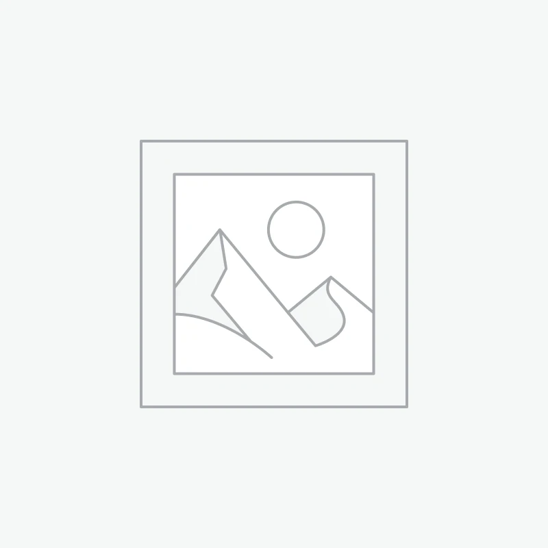 חגים ומועדים